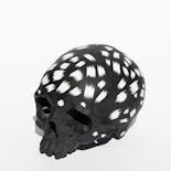 SKULL 08